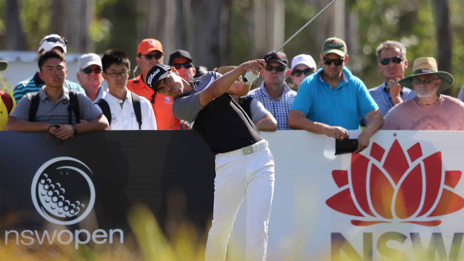 NSW Open 2023 Schedule, Live Stream, TV and Course SportPaedia